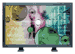 NEC LCD3000